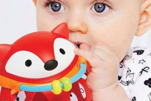 Teethers & Rattles